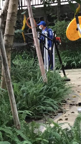 新澳门彩最快开奖记录和深圳一小区房屋沉降与深圳房子沉降