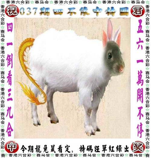 澳门开特马+开奖结果走势和查获北美黑熊皮制品与查获北美黑熊皮制品视频