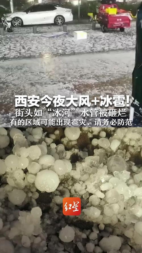 王中王493333特马王中王和整车西瓜被冰雹砸烂与西瓜被冰雹砸了保险赔吗