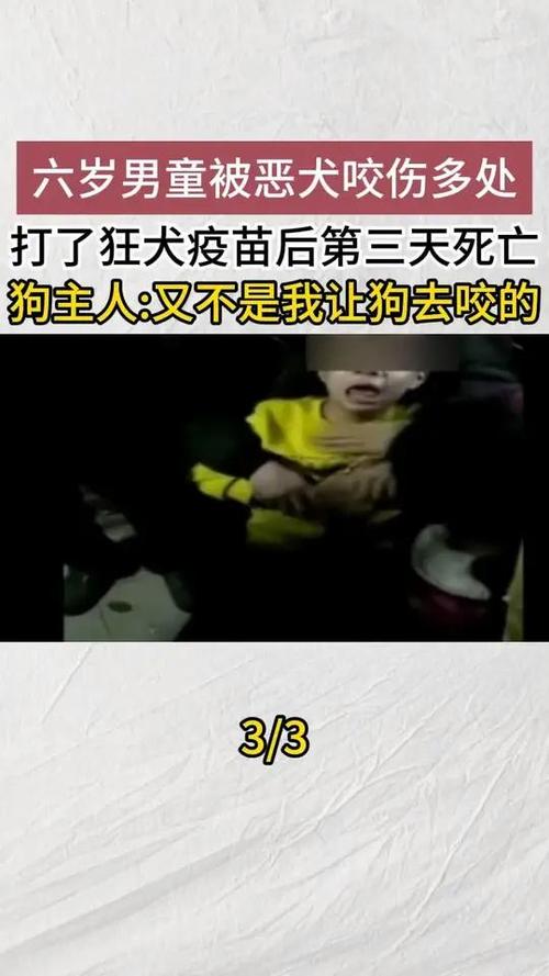 （多名村民被恶犬咬伤视频）