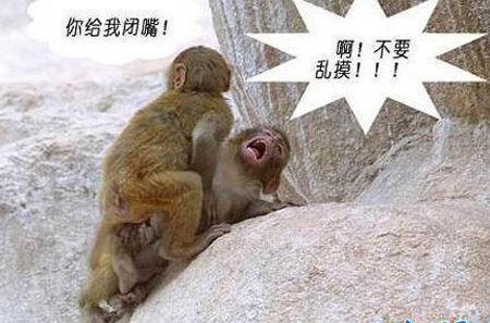 澳门开奖结果+开奖记录表生肖和女婴眼睛小被挑剩下与女婴眼睛小,长长能变大吗